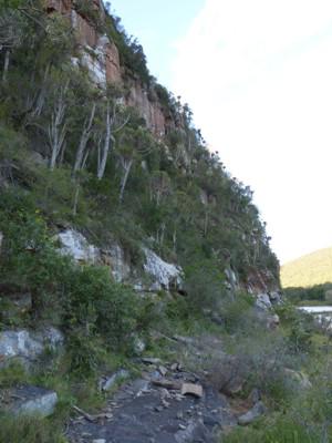 Habitat