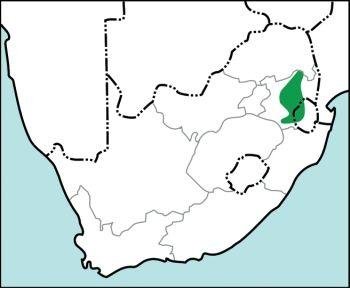 Distribution of Eucomis pallidiflora subsp. pole-evansii