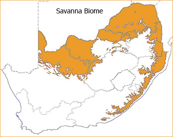 savanna africa map