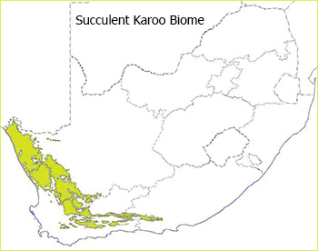 karoo map