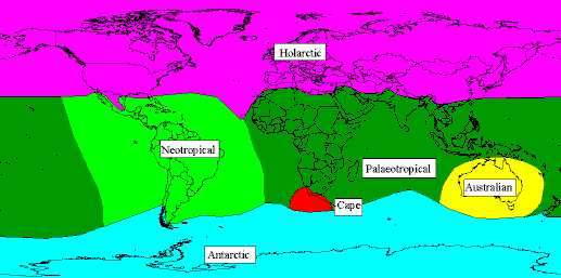 Floral Kingdom's of the world according to Engler