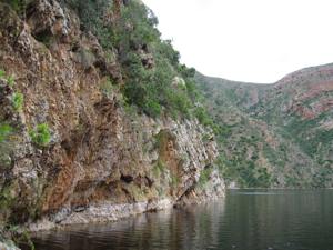 Kouga habitat