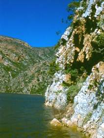 Cliffs beside Kouga Dam- habitat of G. glomerata