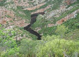 The Kouga Dam, habitat of G. ellaphieae