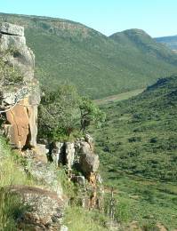 The Kei River and its cliffs habitat