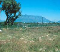 Damage to site by ploughing and spraying