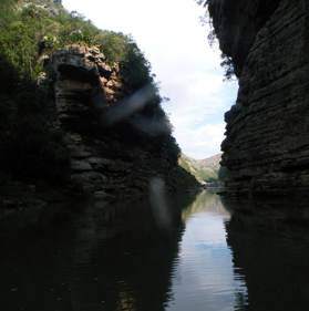 Shady gorge habitat of S.aylae