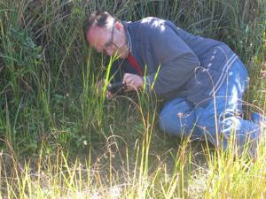 CREW volunteer photographing the plant