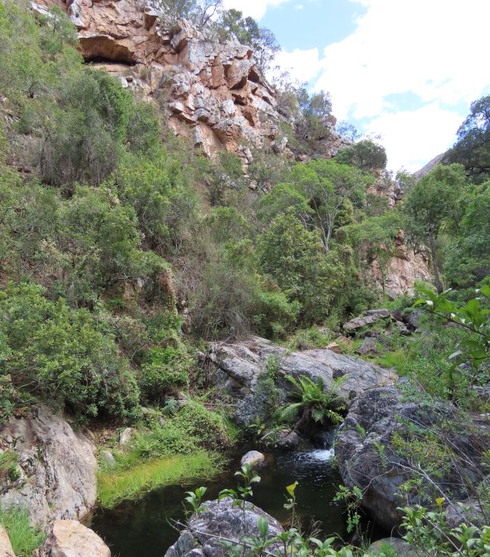 The rugged terrain of the Baviaanskloof Mountains, habitat of G. camillae.