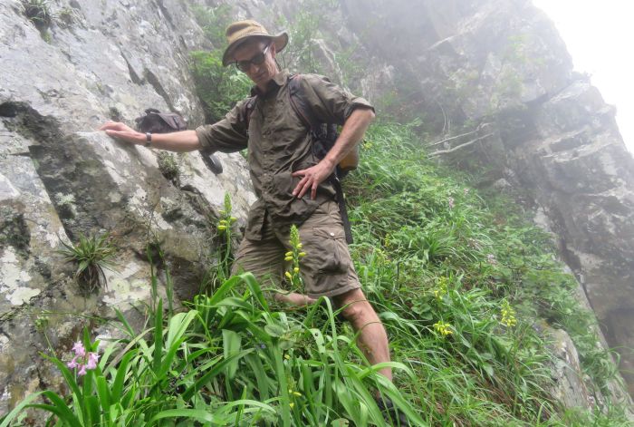 Albuca heydenrychii in habitat with Reuben Heydenrych who first discovered this new species and in whose honour it is named.