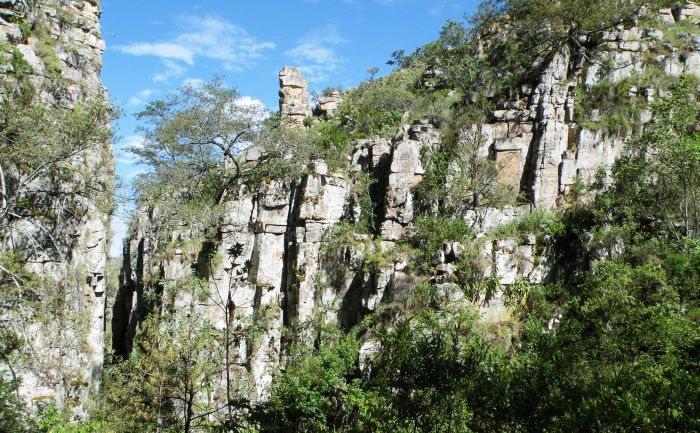 The cliff face habitat of Aeollanthus rydingianus at Zootec on the Huila plateau in southwestern Angola.