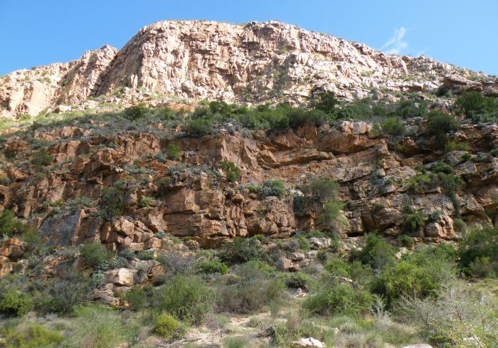 The sheer south-facing cliffs along the Badspoort, habitat of Bulbine ramosa. 