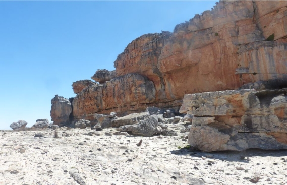 Agathosma pattisonae habitat after fire