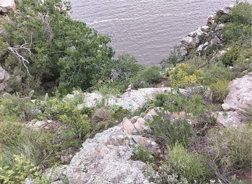 A cliff face at the Waterdown Dam, habitat of Haworthia marumiana var. reddii