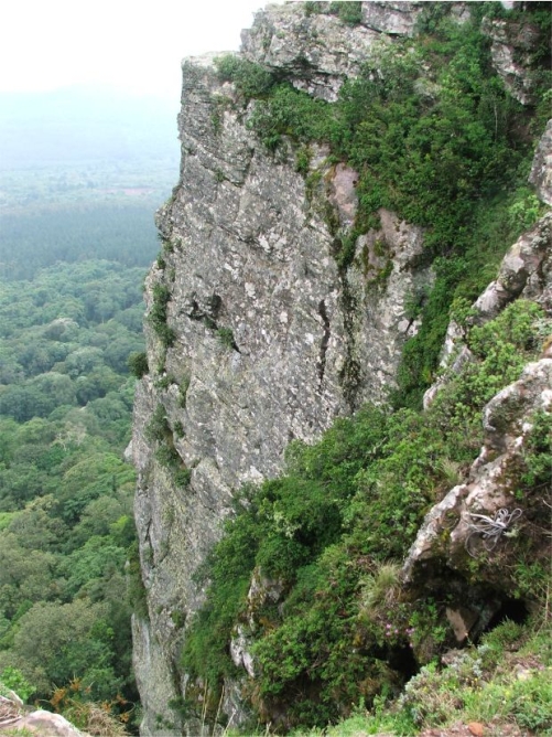 Hanglip, Soutpansberg, Limpopo Province, habitat of Delosperma zoutpansbergense