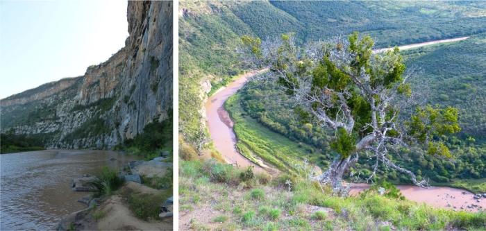 The Kei River, habitat of Cotyledon woodii subsp. cremnophila 