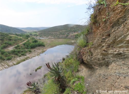 The cliff-face habitat of Ledebouria venteri along the Gouritz River