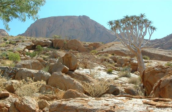 The shady south-facing cliffs of the Brandberg