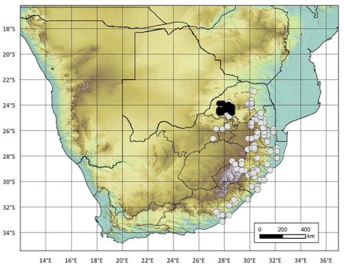 Gloriosa rigidifolia distribution map