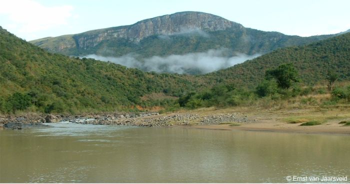 The Mzimvubu River, habitat of Plectranthus mzimvubensis 