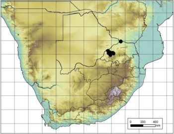 Hibiscus waterbergensis distribution map