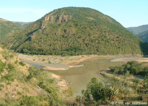 Mzimvubu River, habitat of Crassula foveata