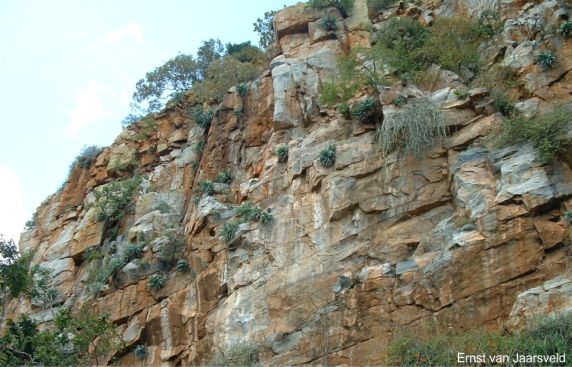 The cliffs at Chuniespoort, near Polokwane in Limpopo Province