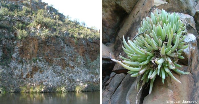 The Kouga cliffs southern aspect