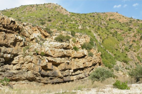 Cliffs at Badspoort, habitat of Bulbine spongiosa Cliffs at Badspoort, habitat of Bulbine spongiosa