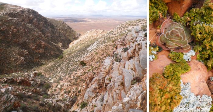 Fyftien-Myl-Se-Berg, Richtersveld, Northern Cape