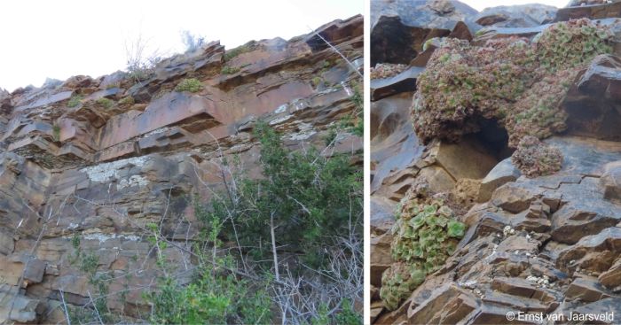Upper shale cliffs near Laingsburg Upper shale cliffs near Laingsburg