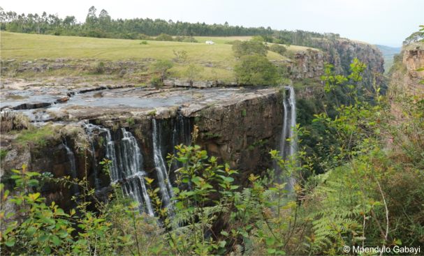 Magwa Falls, habitat of Agapanthus pondoensis 