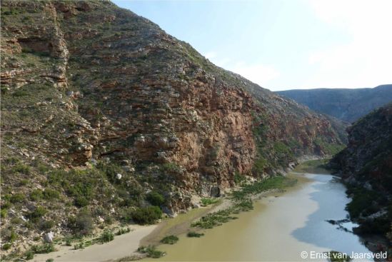 Habitat of Crassula rupestris subsp. marnierana 