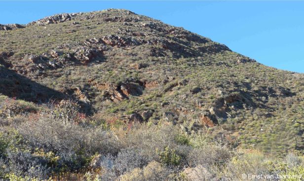 The northern slopes of the Rooiberg near Nuwerus in the Western Cape