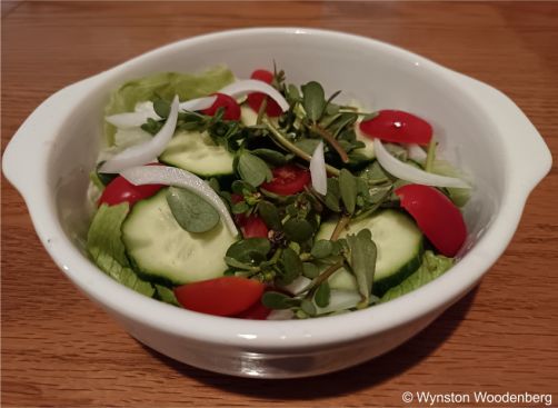 Portulaca oleracea leaves in a salad Portulaca oleracea leaves in a salad