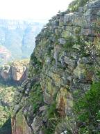 Typical habitat -Blyde River Canyon