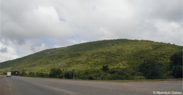 Mutavatsindi Nature Reserve, habitat of Brackenridgea zanguebarica