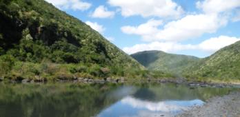 Msikaba river - habitat