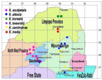 Map showing distribution of Khadia species