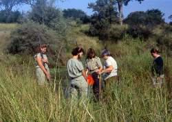 Collecting Monochoria africana in Kruger Park.