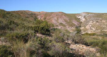 Habitat