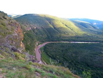 The Mbashe River habitat of Cotyledon petiolaris.