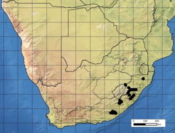 Known distribution of of the South-African endemic Fanninia caloglossa