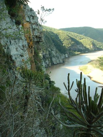 The Kei River cliffs, habitat of Drimia loedolffiae.