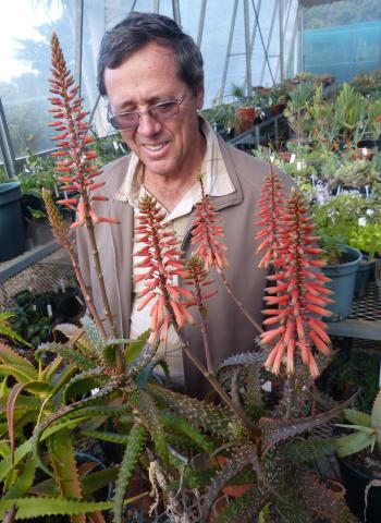 Mr Dan Roux with a plant of Aloe varimaculata in flower at Kirstenbosch National Botanical Garden succulent collection, collected on the Angola expedition in January 2009. 