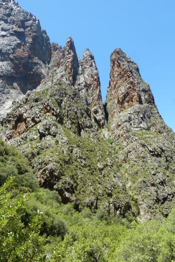 Sheer cliffs in Dome Kloof, habitat of Roosia lucilleae.