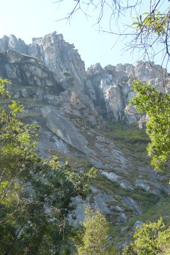 Habitat of Aloe howmanii on the sheer cliff face, near Mutekewhwane base camp in the Chimanimani Mountains, in eastern Zimbabwe.