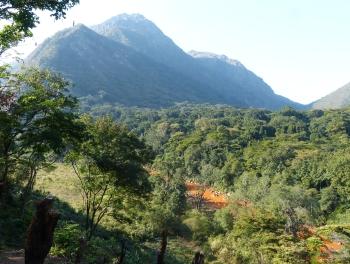 The cliffs at Haroni Gorge, habitat of Ficus muelleriana in western Mozambique.