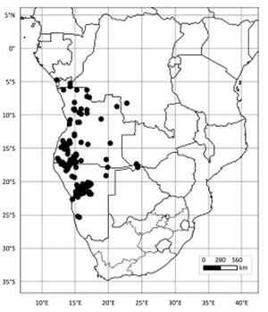 Known distribution of Strophanthus amboensis.