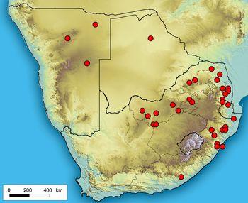 Distribution of Ceropegia crassifolia var. crassifolia based on records at the National Herbarium (PRE) in Pretoria.